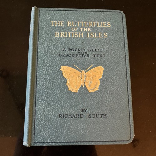 The butterflies - butterflies, of