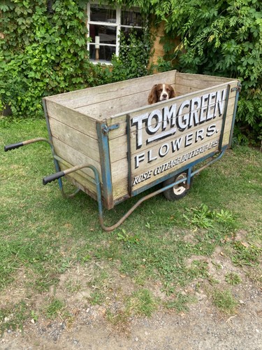 Sign written flower sellers - flower,
