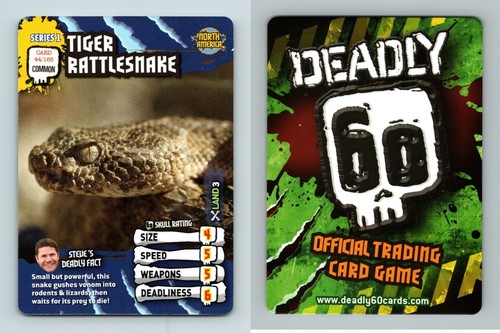 Tiger rattlesnake 165 - tiger,