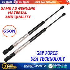 2X REAR TAILGATE GAS STRUTS