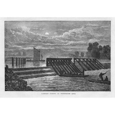 TEDDINGTON LOCK Lampern or Lamprey Fishing - Antique Print 1871
