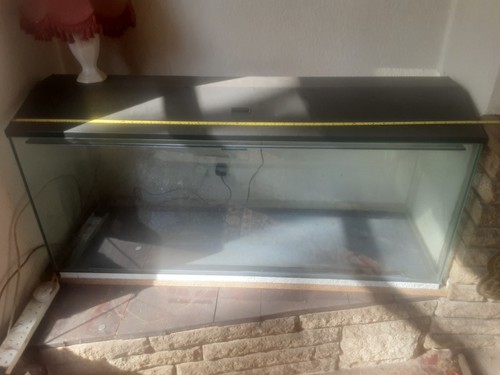 Large fish tank - , with