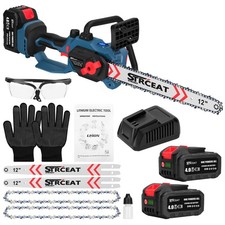 Brushless cordless - 12",