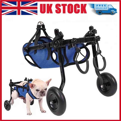 Dog wheelchair hind leg - dog,