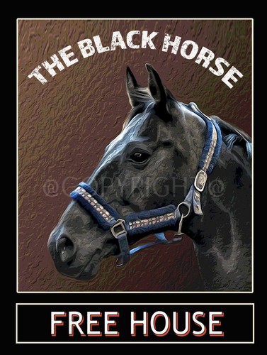 Black horse traditional - horse,