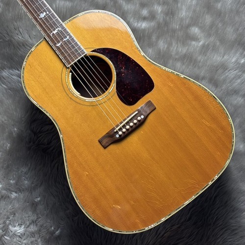 Gibson dlx rosewood - dlx,