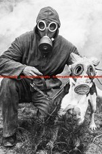 F004757 Rescue services Air raid warden with his dog