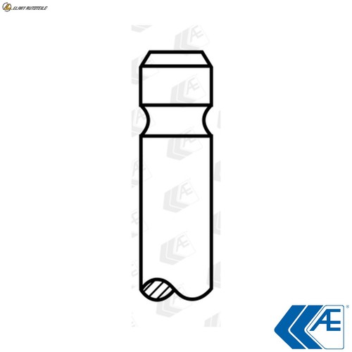 Exhaust valve v90303 for - exhaust,