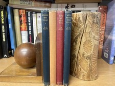 Complete Set of Winnie the