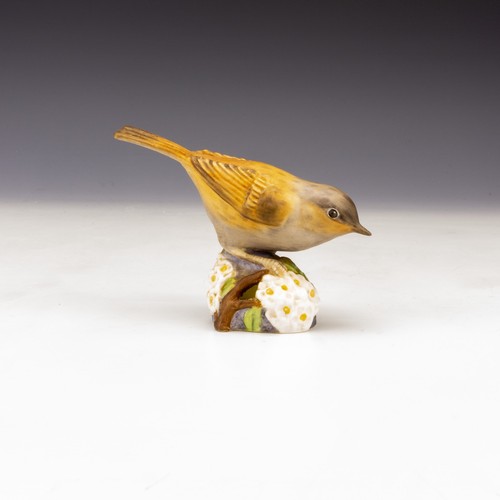 Royal worcester porcelain - worcester,