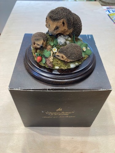 Country artists hedgehog - country,