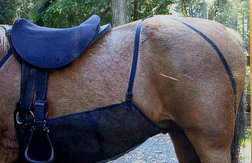 Cashel quiet ride belly guard - cashel,