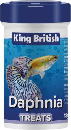 King british daphnia - king,
