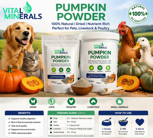 Pumpkin powder for - powder, dogs