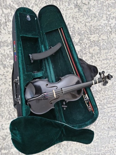 Violin comes with a case - with,