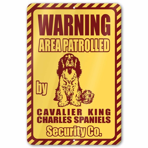Cavalier king charles spaniel - cavalier,