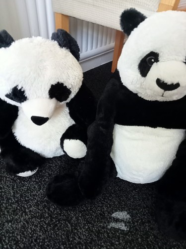 Panda teddy - panda,