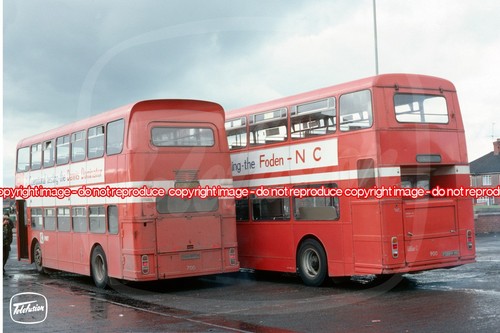 Bus photo pmt - bus,