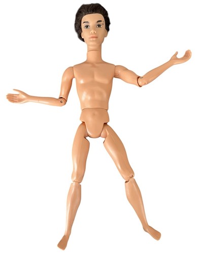 Barbie doll ryan fashionistas - ryan,