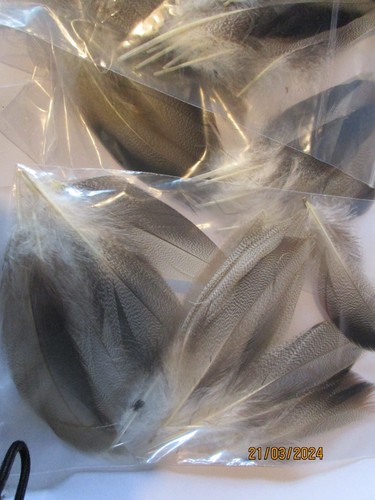 Bronze mallard feathers - , bulk