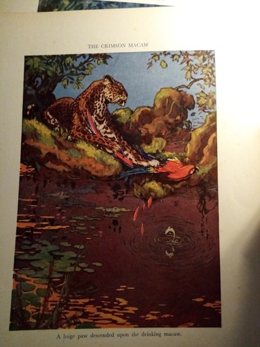Gdn4 ephemera 1930s book plate - gdn4,