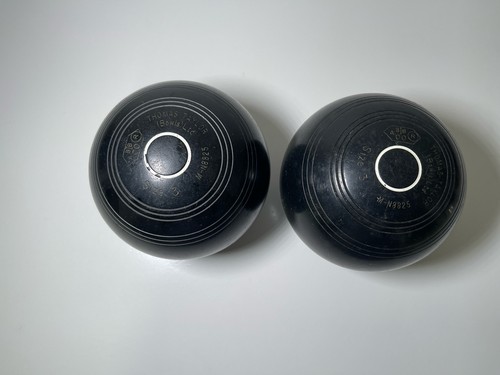 Thomas taylor lignoid size - 2x,