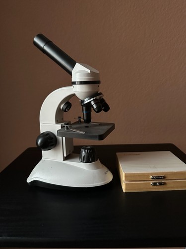 First lab duo - my,