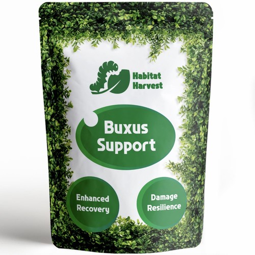 Buxus support box tree - box, hedge