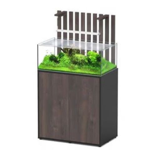 Shallow aquascape 93l aquarium - aquascape,