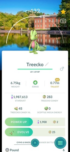 Pokémon treecko xxl - xxl,, xxs