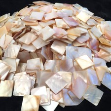 500g Square Shell Mother of