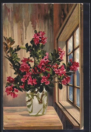 Artist postcard photochromy - postcard,