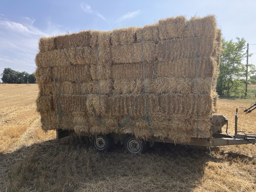 Conventional bales barley - bales, of