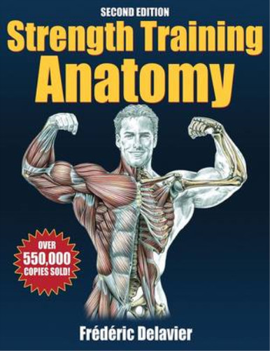 Strength training anatomy - training,