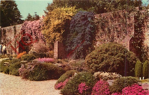 Postcard windsor great park - great,