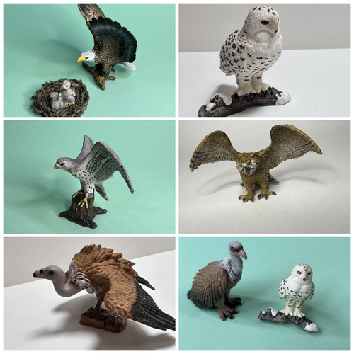 Schleich raptors birds of - raptors, |birds
