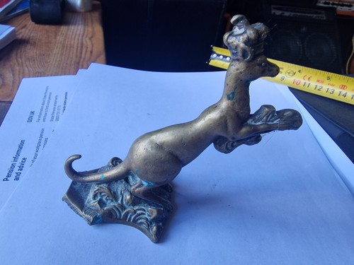 Australian brass kangaroo - australian,