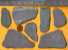 7 Thin flat UK North Sea