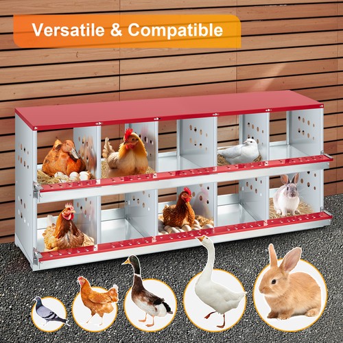 10 compartment chicken - 3/6/8/10,
