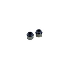 Valve Stem Gasket Set 2 Piece