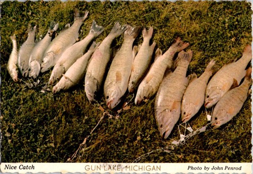 Gun lake postcard - gun,