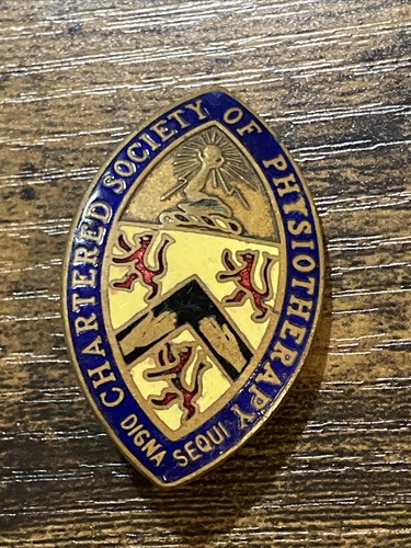 Vintage enamel badge - enamel,