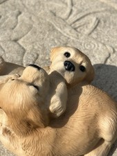 Vintage North Light Golden