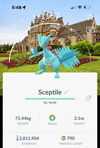 Pokémon sceptile shiny - go,