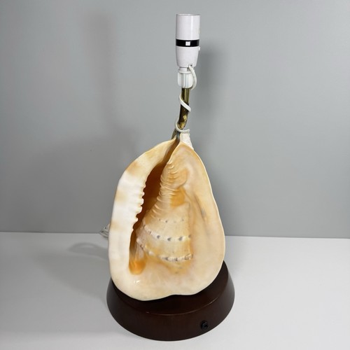 Vintage conch seashell table - conch,