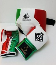 MEXICAN CANELO BOXING SET GLOVES PAD UFC INSPIRED BY GRANT WINNING LEATHER MITTS