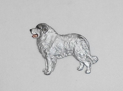 Pyrenean mountain dog - pyrenean,