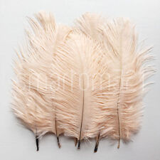 5''-8'' Long Ostrich Feathers