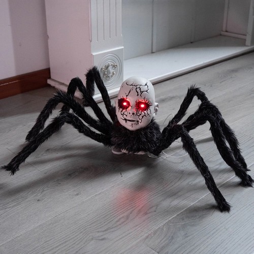 Halloween doll face spider - halloween,