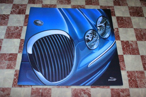 Medium size unread - unread!, jaguar
